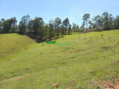 Fazenda/Sítio à venda, 214800m² no , São Luiz do Paraitinga