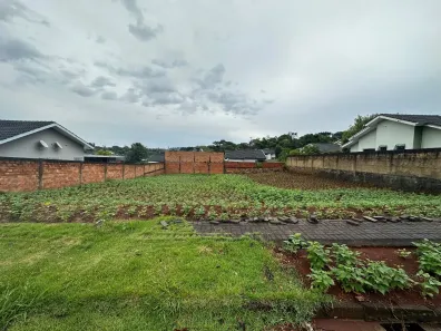 Lote/Terreno à venda, 360m² no Bortot, Pato Branco