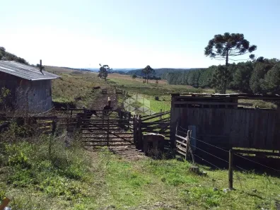 Fazenda/Sítio à venda, 50000m² no Centro, São Francisco de Paula