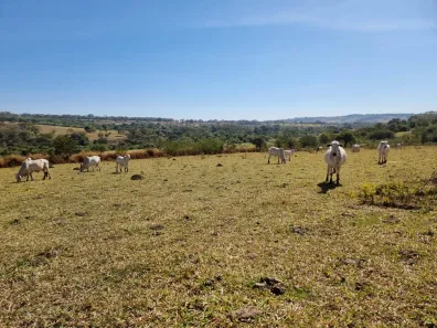 Lote/Terreno à venda, 21000m² no Área Rural de Trindade, Trindade