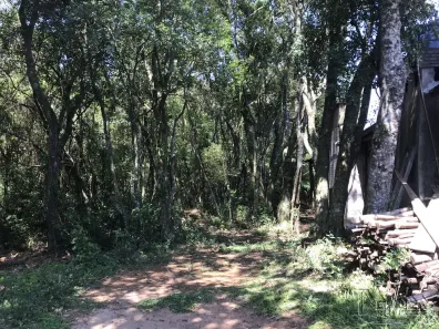 Lote/Terreno à venda no Centro, Morro Reuter