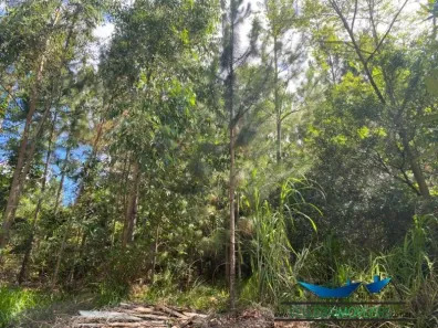 Fazenda/Sítio à venda, 600m² no Área Rural de Águas Claras, Viamão