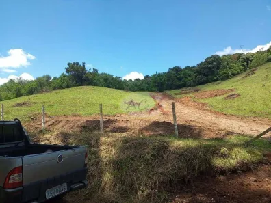 Lote/Terreno à venda, 10000m² no Pacotuba, Almirante Tamandaré