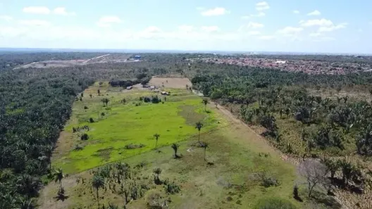 Fazenda/Sítio com 3 Quartos à venda, 128000m² no Boa Esperança, Timon