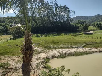 Fazenda/Sítio com 2 Quartos à venda, 55000m² no Areias de Cima (Guaporanga), Biguaçu