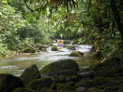 Fazenda/Sítio com 16 Quartos à venda, 3140000m² no Centro, Ubatuba