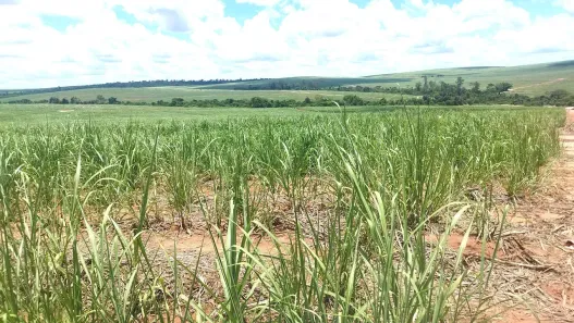 Fazenda/Sítio à venda, 433422m² no , Nossa Senhora das Graças