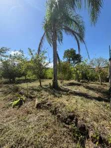 Lote/Terreno à venda, 206m² no Pinheira, Palhoça