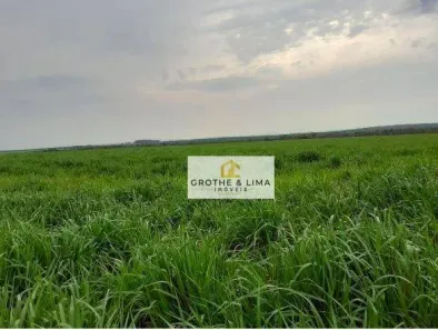 Fazenda/Sítio com 9 Quartos à venda, 800m² no Setor Central, Araguaína