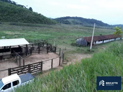 Fazenda/Sítio com 3 Quartos à venda, 436m² no Itimirim, Iguape