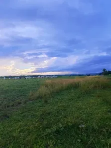 Fazenda/Sítio com 3 Quartos à venda, 550000m² no , São José de Mipibu