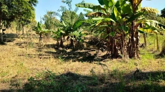 Lote/Terreno à venda, 2800m² no Quintas de Pirapora, Salto de Pirapora