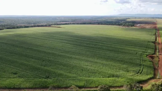 com 1 Quarto à venda, 7080000m² no Paraíso do Tocantins, Paraíso do Tocantins