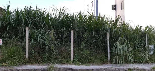 Lote/Terreno à venda, 360m² no Campo Alegre, Conselheiro Lafaiete