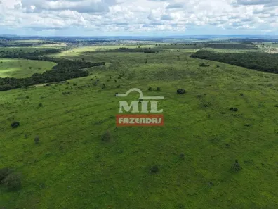 Fazenda/Sítio à venda, 500m² no , Itarumã