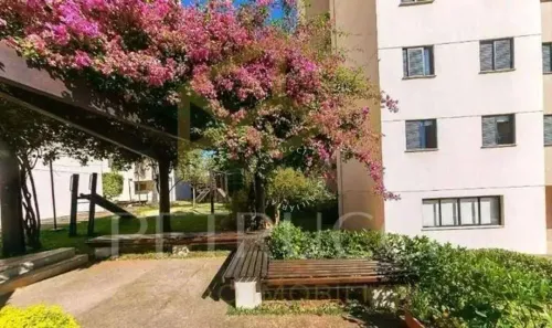 Apartamento com 3 Quartos à venda, 77m² no Parque Prado, Campinas