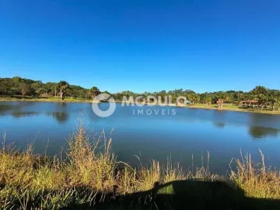 Fazenda/Sítio com 2 Quartos à venda, 100m² no Chácaras Eldorado, Uberlândia