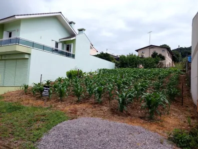 Lote/Terreno à venda, 356m² no , Nova Pádua