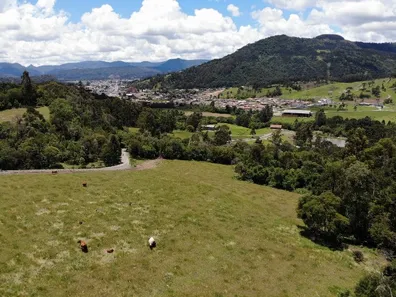 Fazenda/Sítio com 1 Quarto à venda, 21000m² no , Urubici