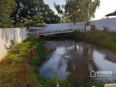 Fazenda/Sítio com 2 Quartos à venda, 70m² no Chácaras Jaraguá, Paranavaí
