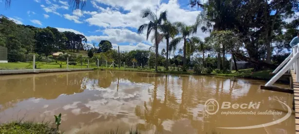 Fazenda/Sítio à venda, 50000m² no Campo Alegre, Campo Alegre