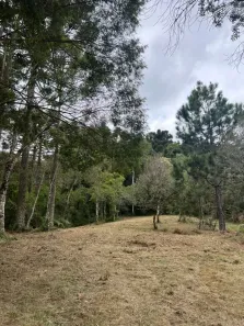 Lote/Terreno à venda, 60000m² no Campestre, Urubici