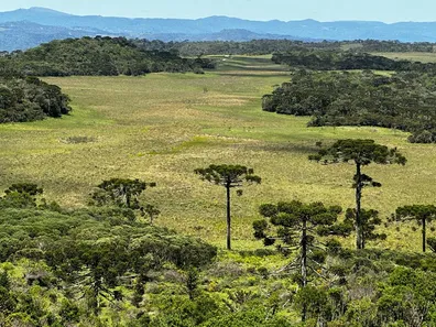 Fazenda/Sítio à venda, 5230000m² no , Urubici