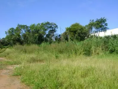 Lote/Terreno à venda, 1m² no Vila Aviação B, Bauru