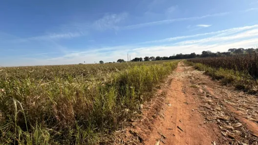 Fazenda/Sítio à venda, 217800m² no Jucurupava, Salto de Pirapora