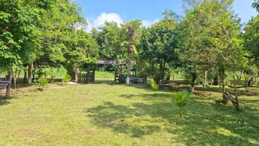 Lote/Terreno à venda, 4000m² no Bairro Morrete, Iguape