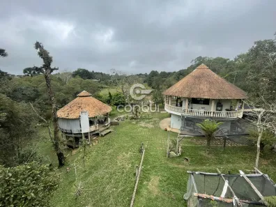 Fazenda/Sítio com 3 Quartos à venda, 5285m² no Campestre da Faxina, São José dos Pinhais