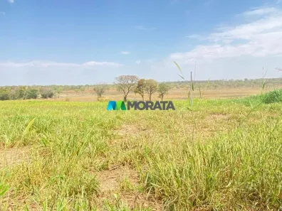 Fazenda/Sítio com 1 Quarto à venda, 140m² no , Martinho Campos