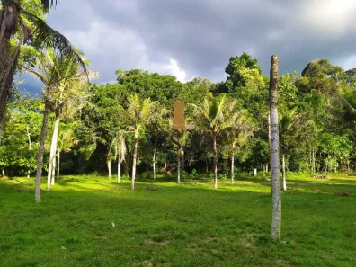 Fazenda/Sítio com 5 Quartos à venda, 58000m² no , Manaus