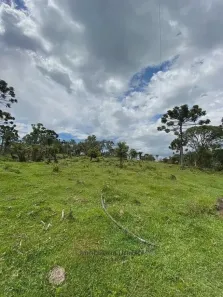 Fazenda/Sítio à venda no , Urubici