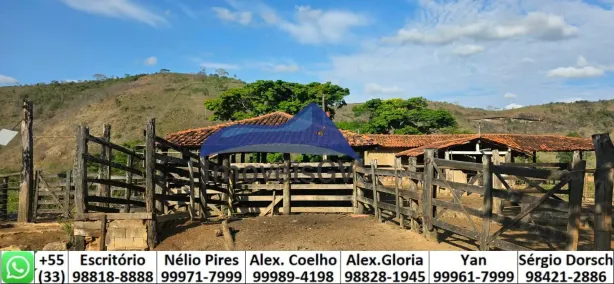 Fazenda/Sítio à venda, 100m² no Centro, Governador Valadares