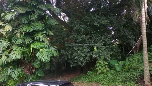 Lote/Terreno à venda, 530m² no Granja Carneiro Viana, Cotia