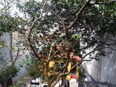 Lote/Terreno à venda, 301m² no Vila Dom Pedro II, São Paulo