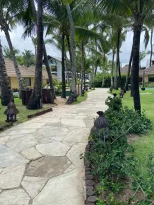 Casa de Condomínio com 1 Quarto à venda, 50m² no , Ipojuca