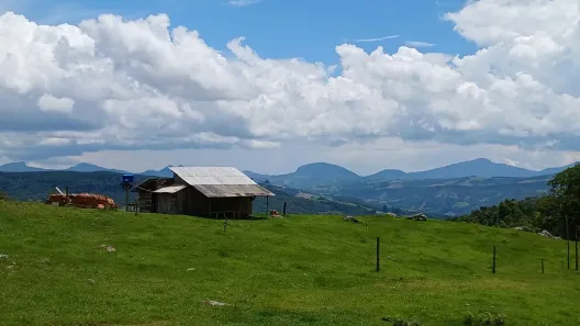 Fazenda/Sítio à venda, 40000m² no , Alfredo Wagner