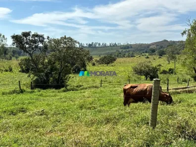 Fazenda/Sítio com 1 Quarto à venda, 120m² no , Bambuí
