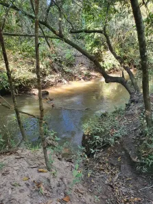 Fazenda/Sítio com 2 Quartos à venda, 20000m² no Área Rural de Planaltina, Brasília