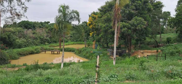 Lote/Terreno à venda, 48000m² no Parque Imperial, Monte Mor
