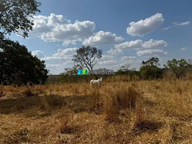 Fazenda/Sítio com 1 Quarto à venda, 400m² no Bela Vista, Formiga