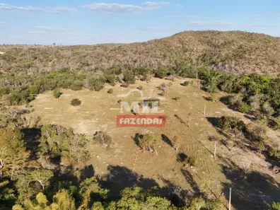 Fazenda/Sítio à venda, 1m² no Distrito Comercial, Hidrolândia