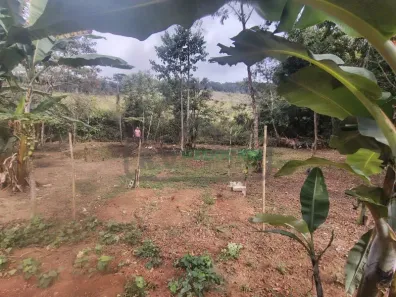 Fazenda/Sítio com 2 Quartos à venda, 80m² no Previdenciários, Juiz de Fora