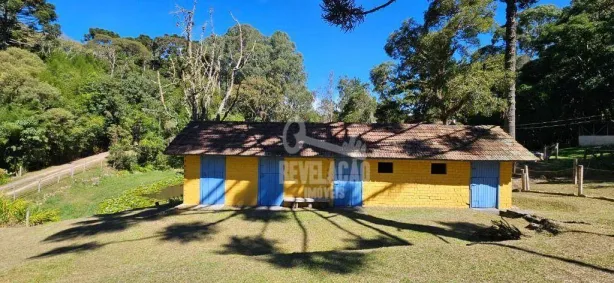 Fazenda/Sítio com 3 Quartos à venda, 200m² no Roça Velha, São José dos Pinhais
