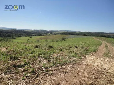 Lote/Terreno para alugar, 283000m² no Fim do Campo, Jarinu