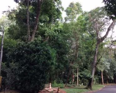 Lote/Terreno à venda, 2638m² no Parque São Quirino, Campinas