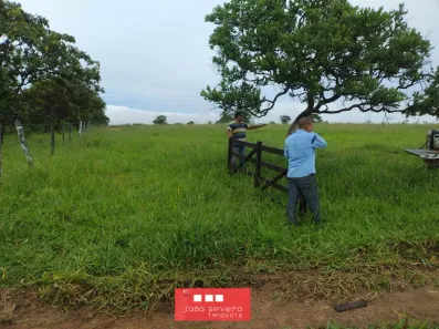 Fazenda/Sítio à venda, 66600000m² no Centro, Barra do Garças