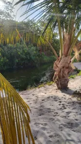 Fazenda/Sítio à venda, 10000m² no Povoado Punau, Rio do Fogo